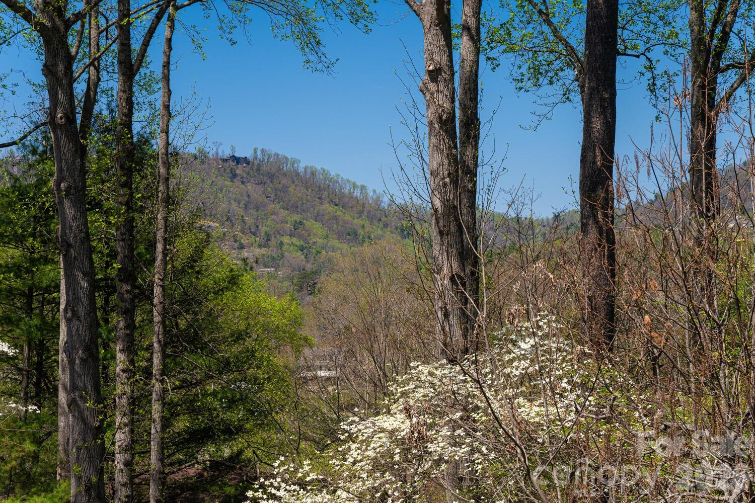 1002 Timber Lane Asheville NC 28804