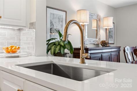 236 Riverview Terrace Lake Wylie SC 29710