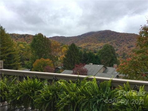 33 Ridge Terrace Asheville NC 28804