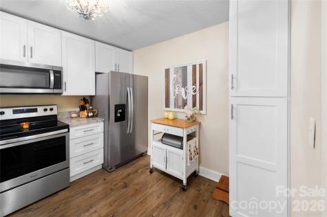 252 Wash Creek Drive Hendersonville NC 28739