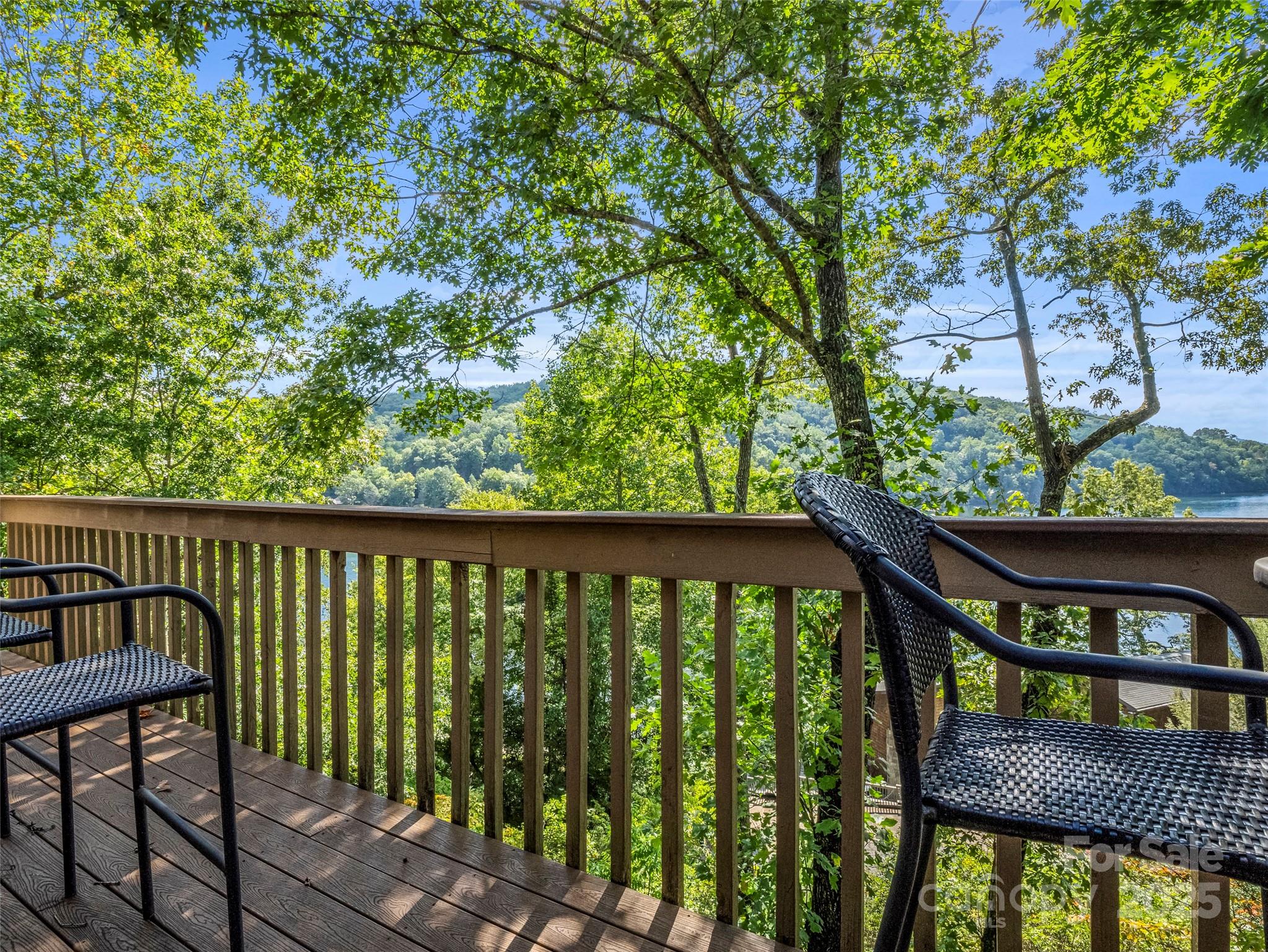 155 Quail Cove Road Lake Lure NC 28746