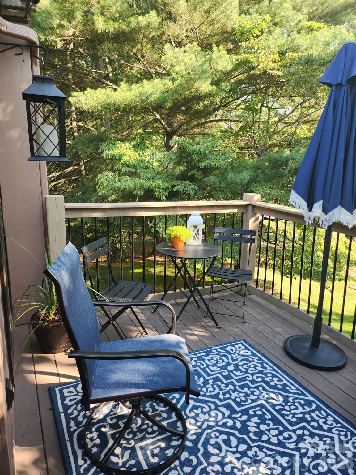 36 Ravencroft Lane Asheville NC 28803