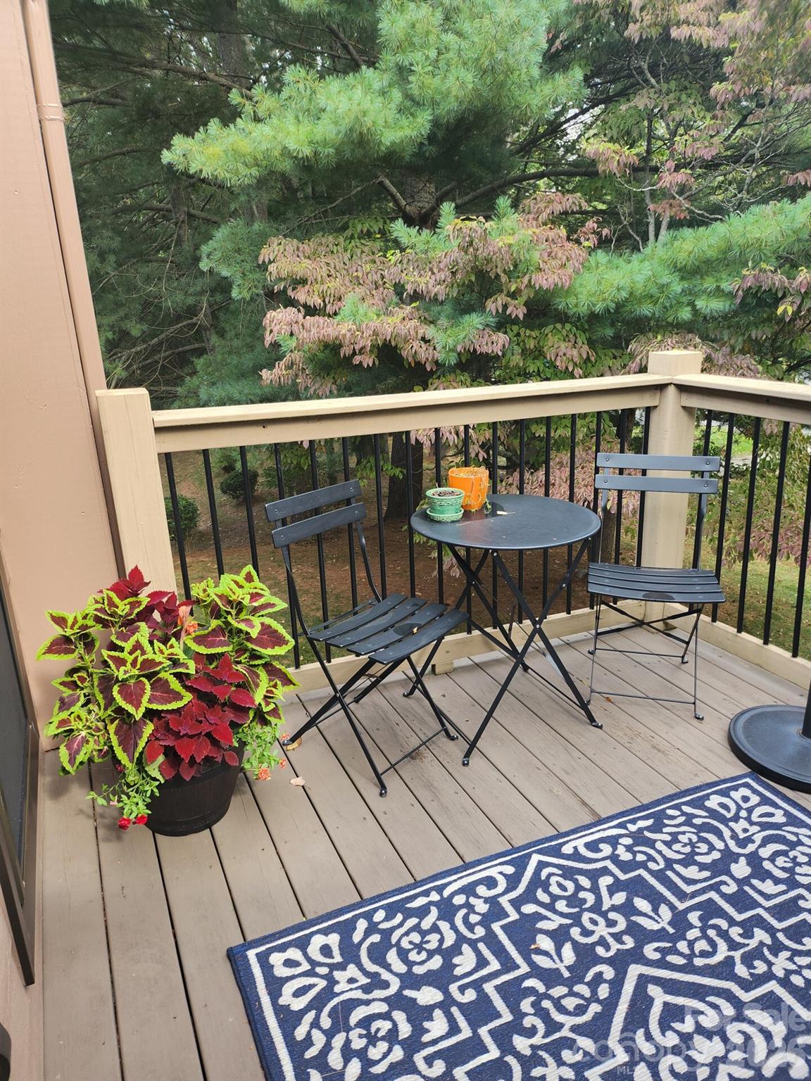 36 Ravencroft Lane Asheville NC 28803