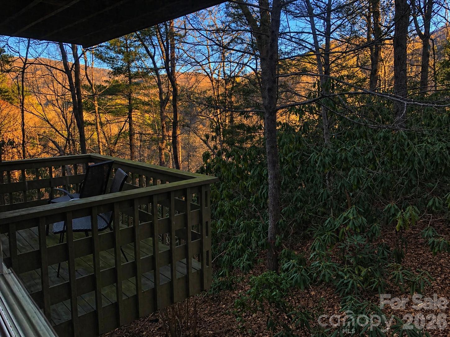 135 Mountain Village Boulevard Lake Lure NC 28746