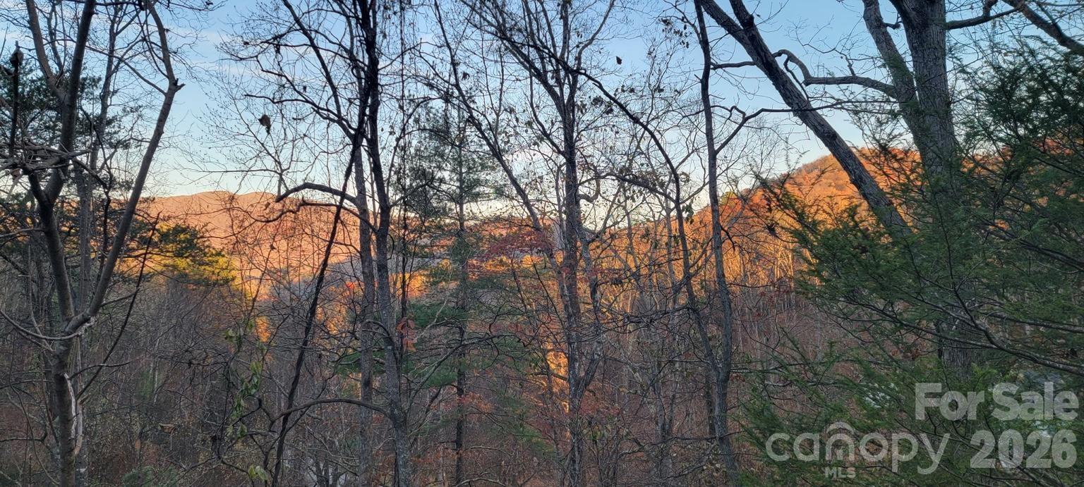 135 Mountain Village Boulevard Lake Lure NC 28746