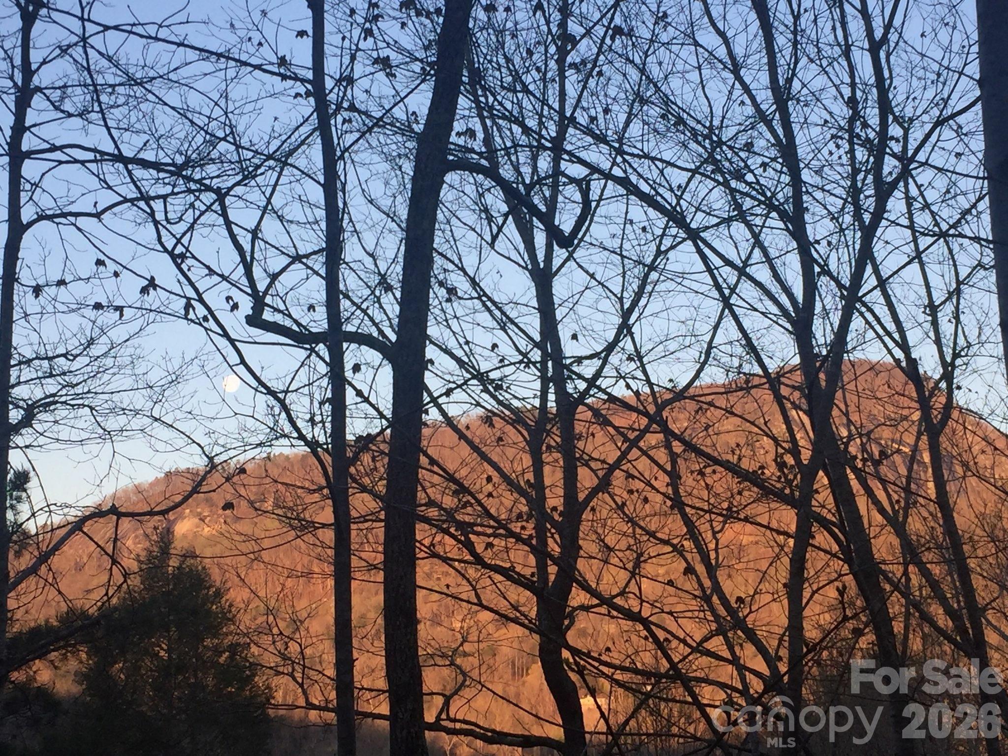 135 Mountain Village Boulevard Lake Lure NC 28746
