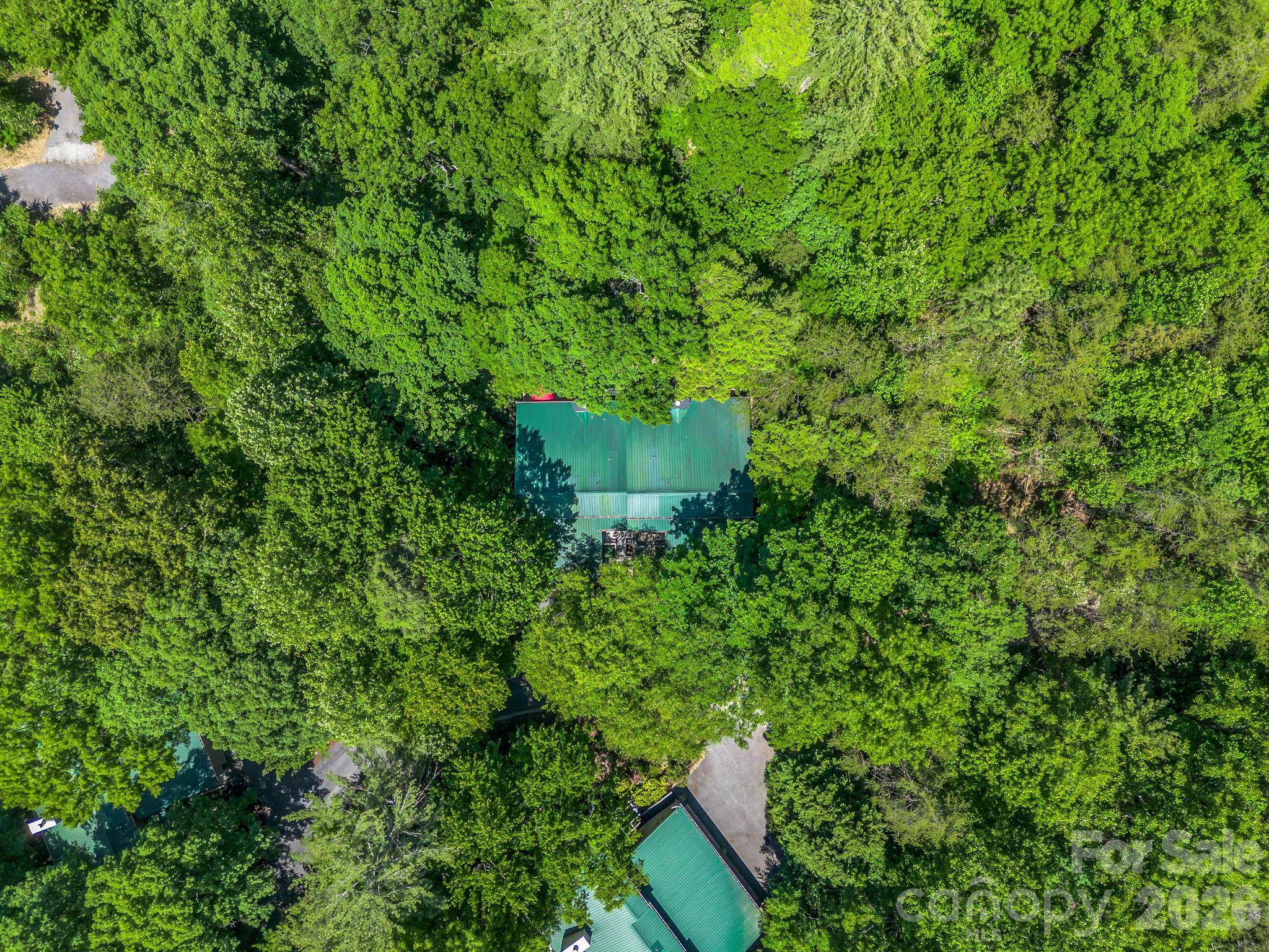 135 Mountain Village Boulevard Lake Lure NC 28746