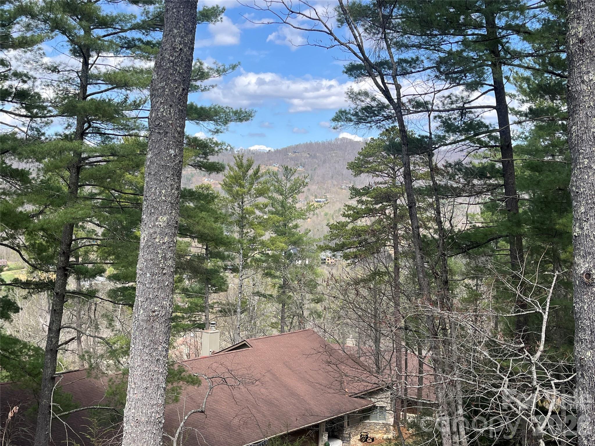 2902 Timber Trail Asheville NC 28804