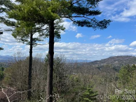 2902 Timber Trail Asheville NC 28804