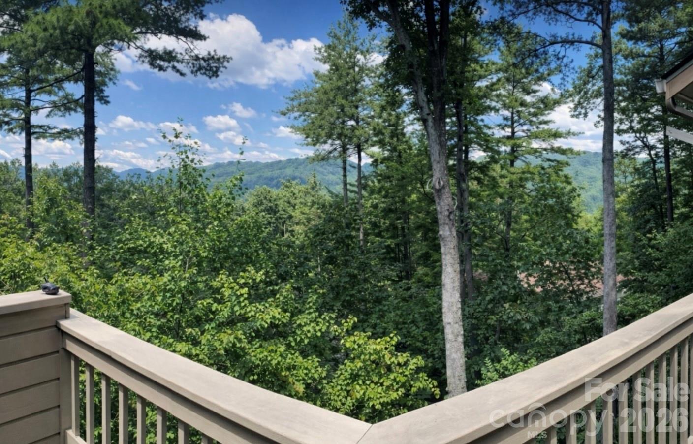 2902 Timber Trail Asheville NC 28804