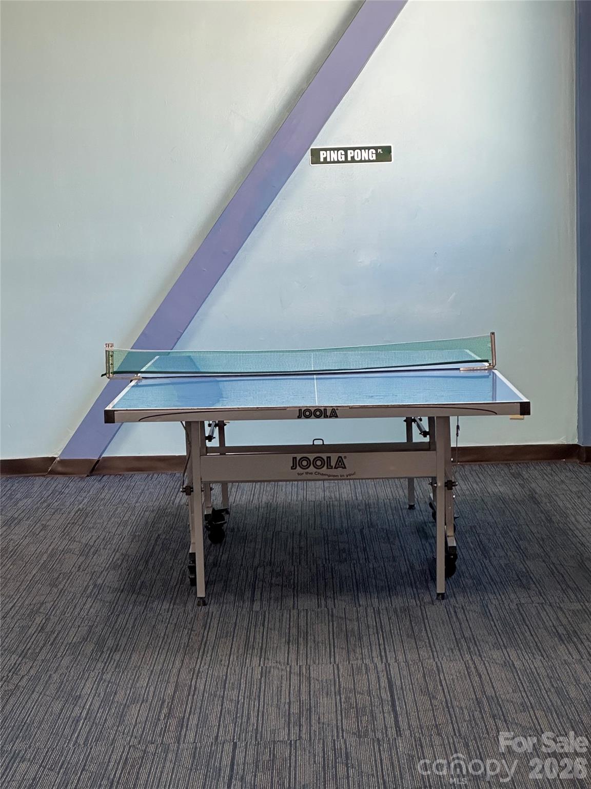 301 Pinnacle Inn Road Beech Mountain NC 28604
