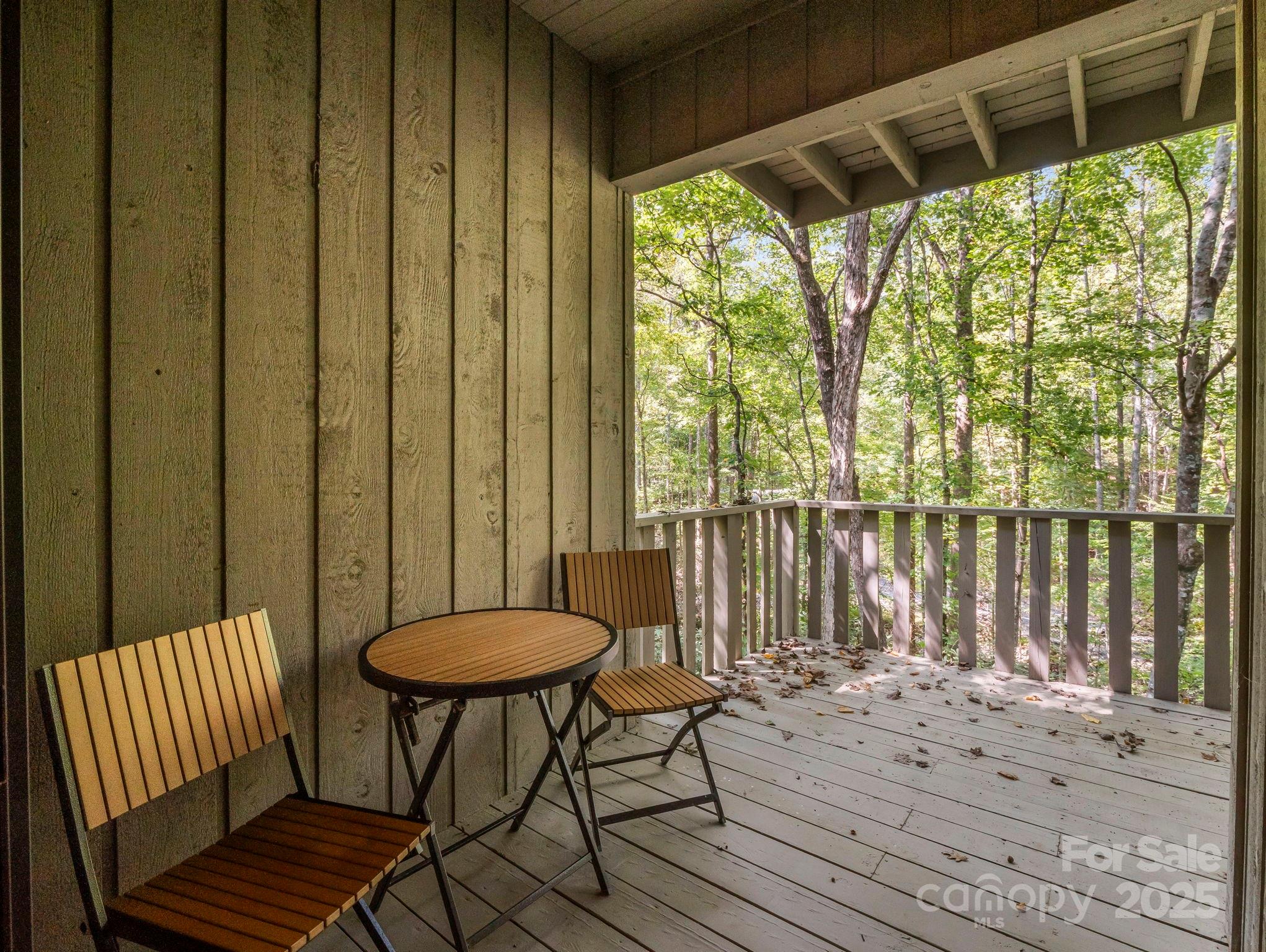 123 Mountain Village Boulevard Lake Lure NC 28746