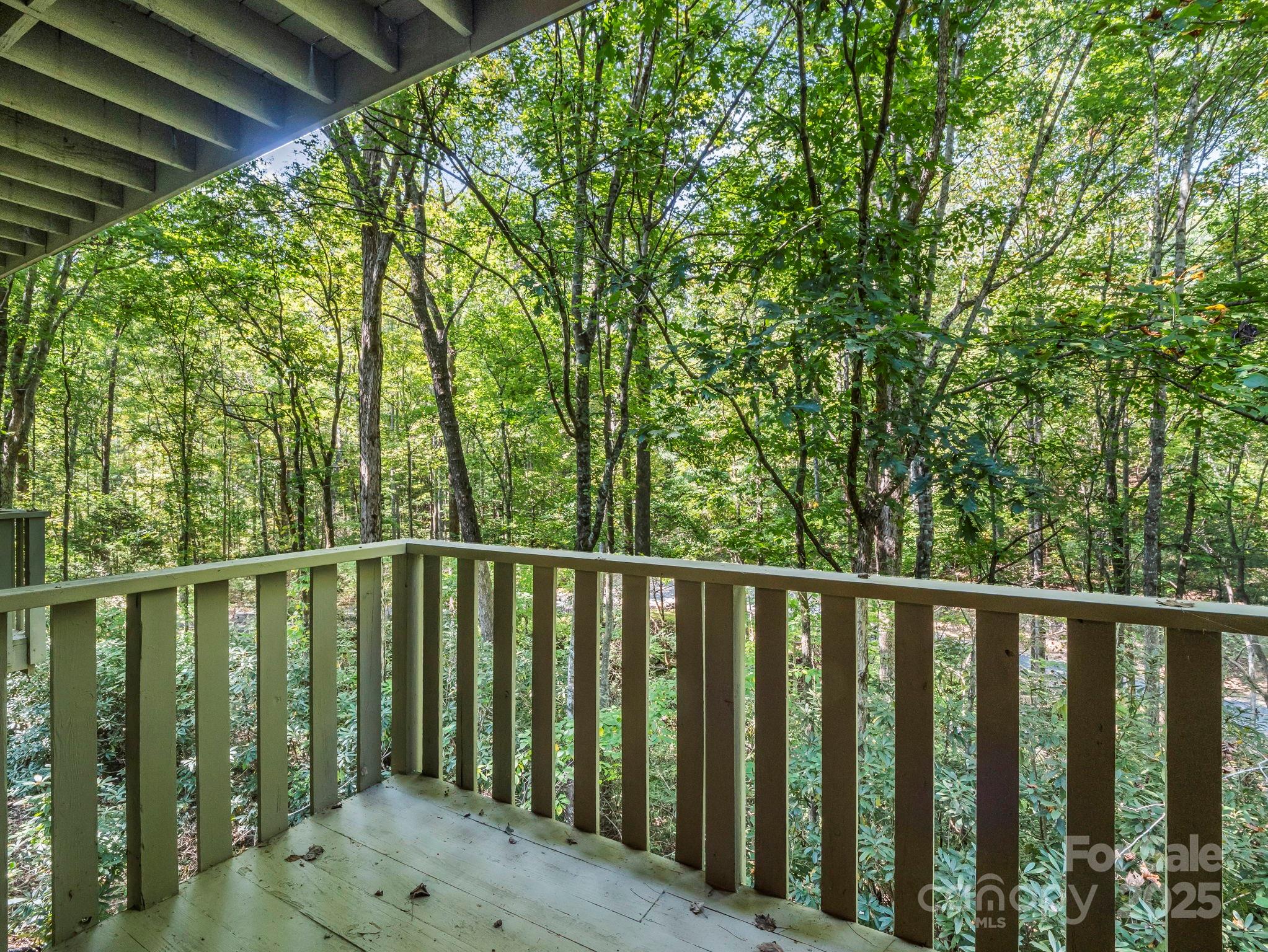 123 Mountain Village Boulevard Lake Lure NC 28746