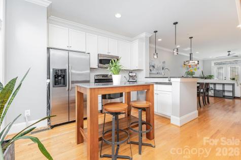239 N Dotger Avenue N Charlotte NC 28207