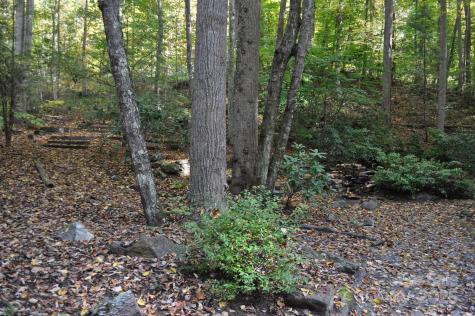 300 Creekside Way Burnsville NC 28714
