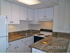 538 North Main Street #316 Hendersonville NC 28792