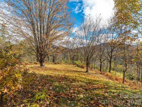 80 Stony Ridge Asheville NC 28804