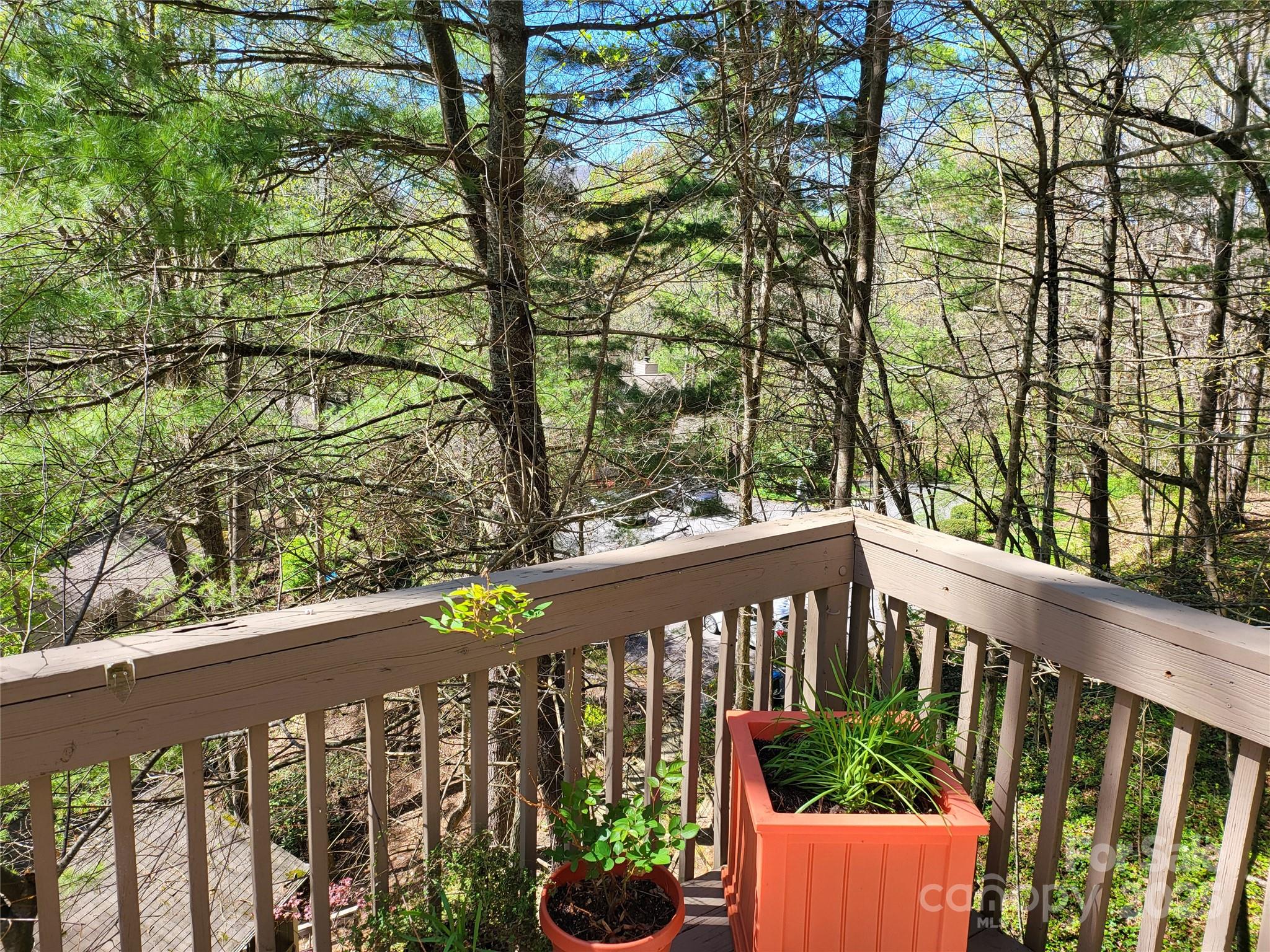 31 Cedarwood Lane Asheville NC 28803