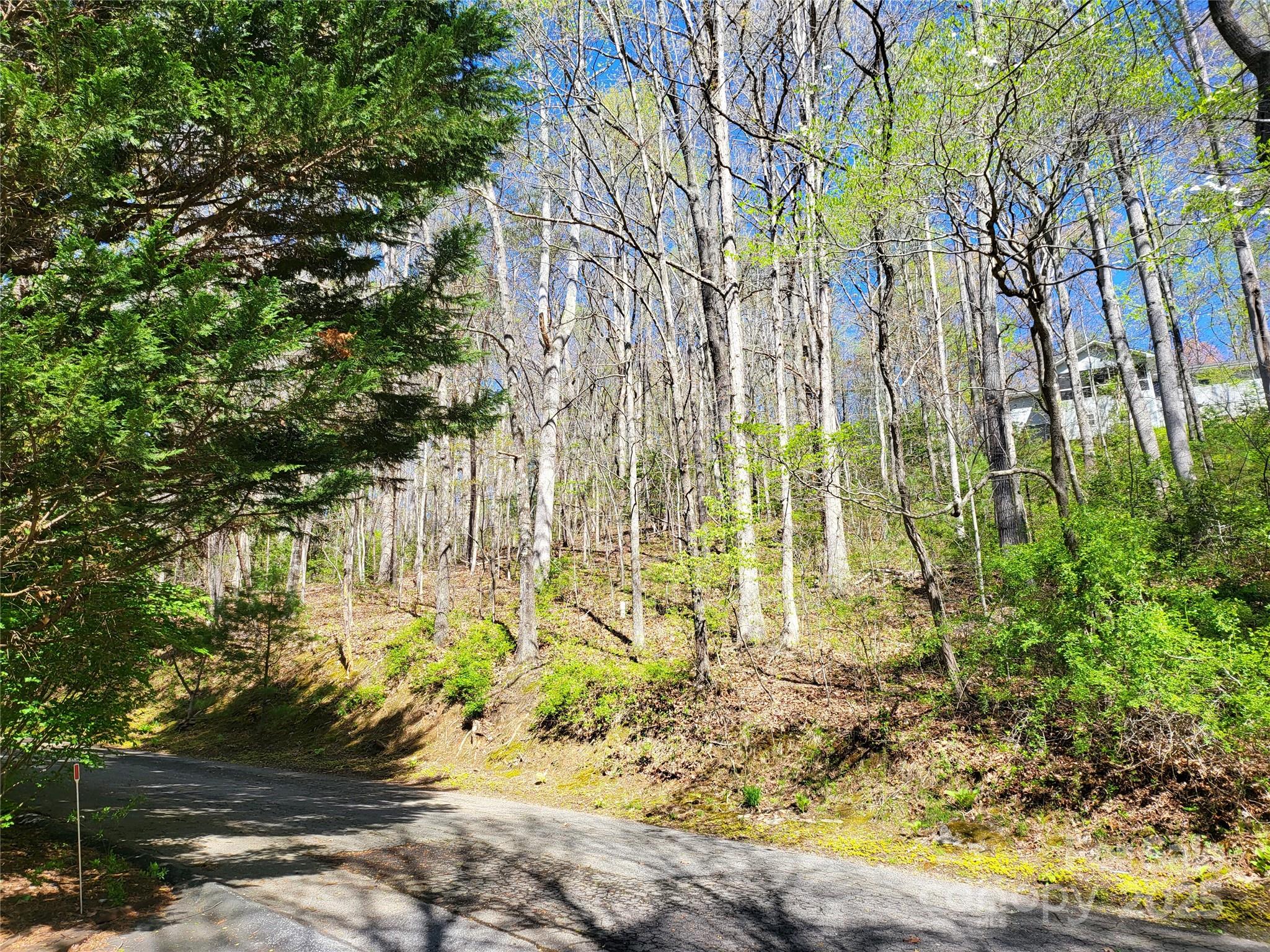 31 Cedarwood Lane Asheville NC 28803
