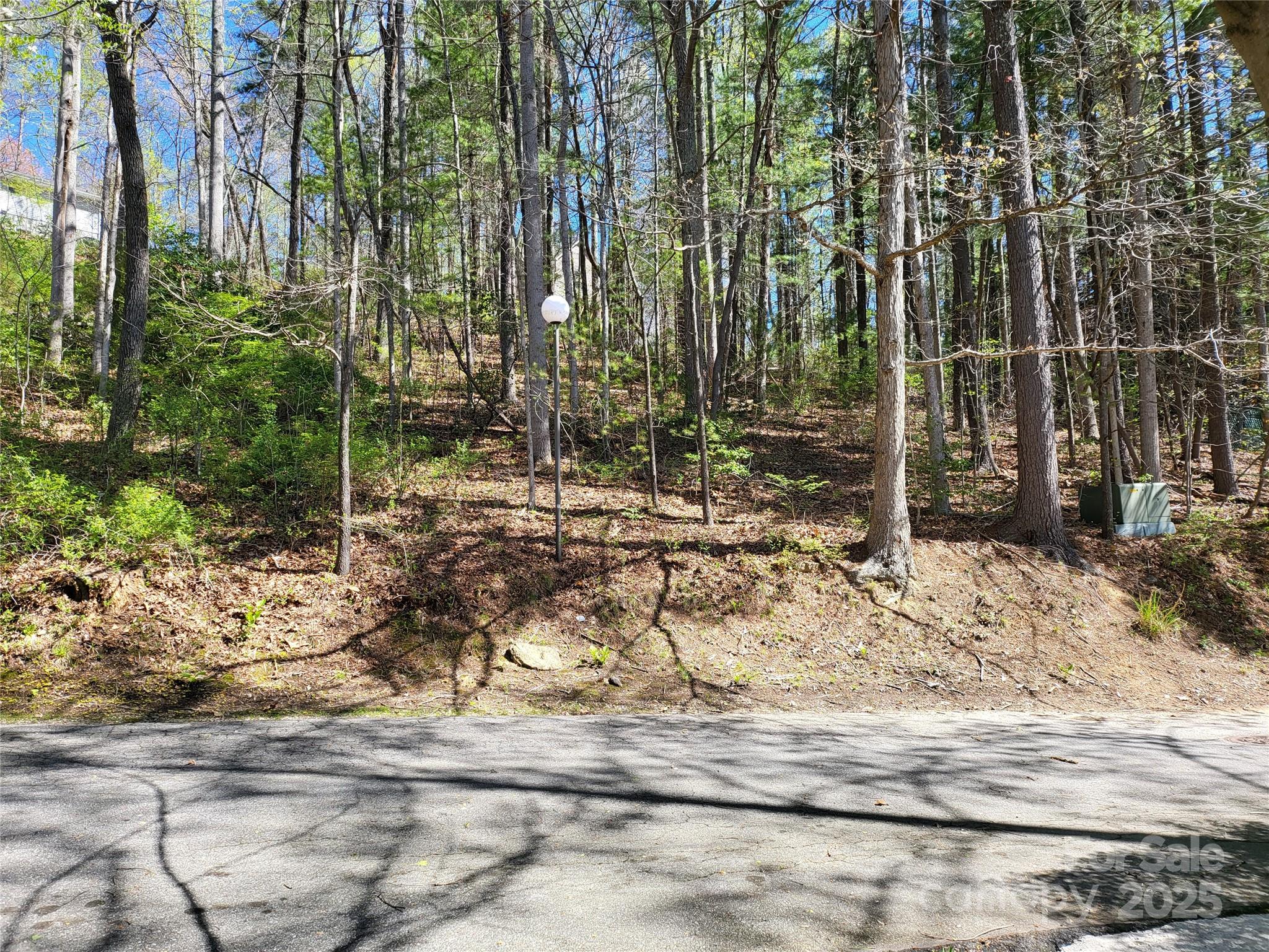 31 Cedarwood Lane Asheville NC 28803