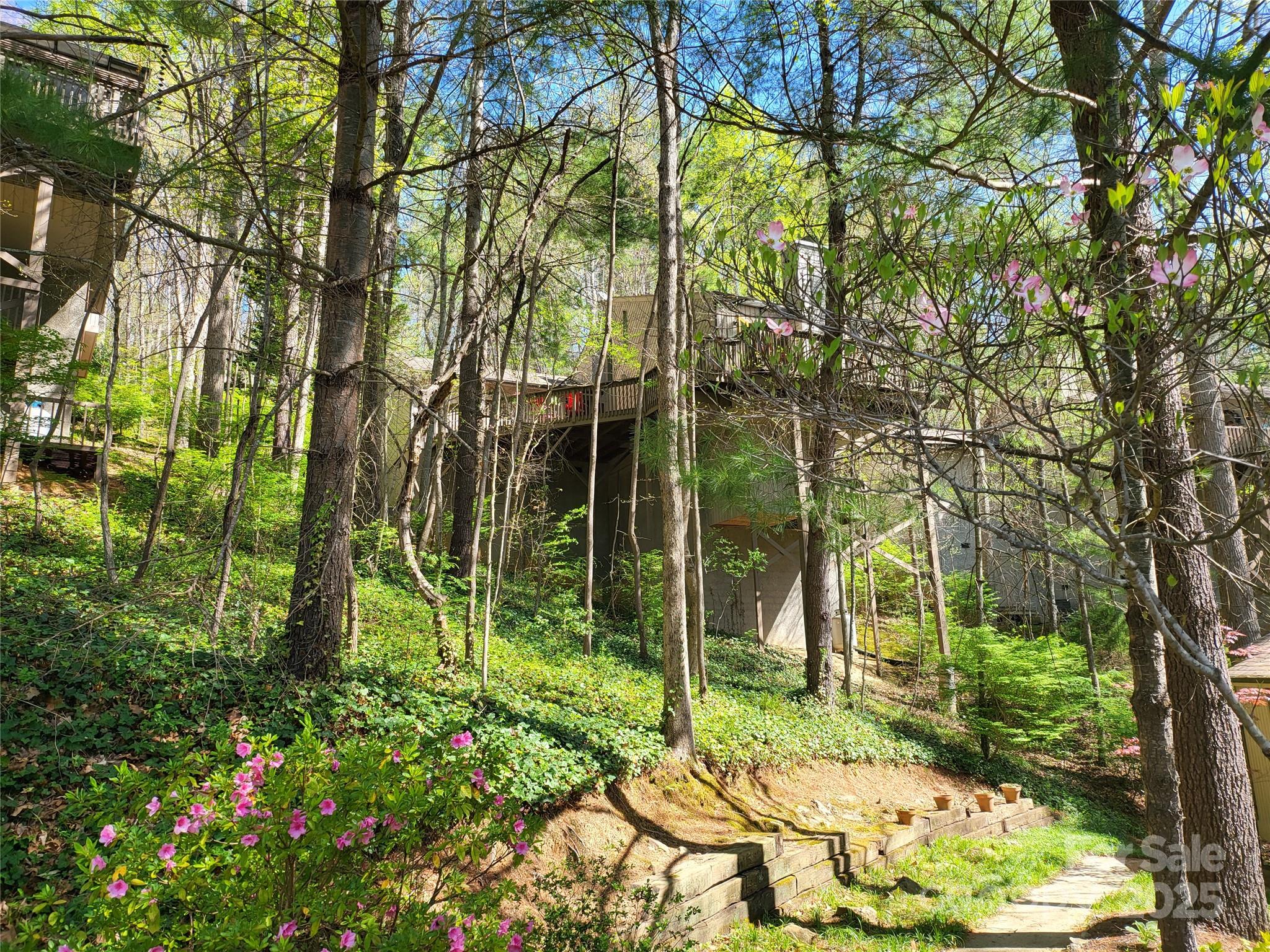 31 Cedarwood Lane Asheville NC 28803