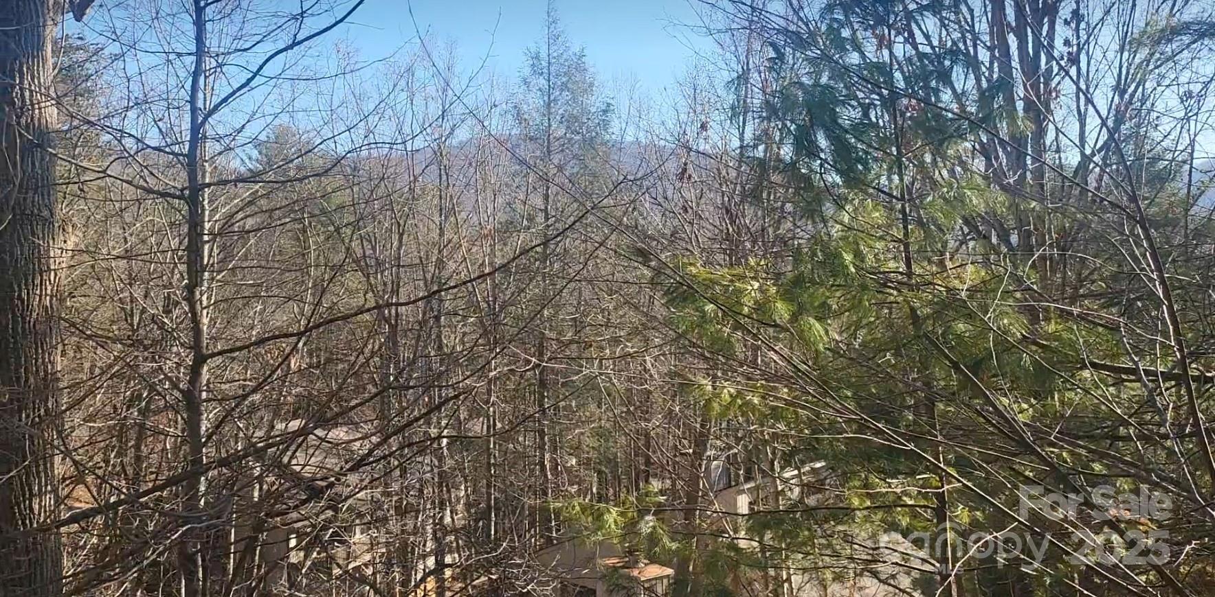 31 Cedarwood Lane Asheville NC 28803