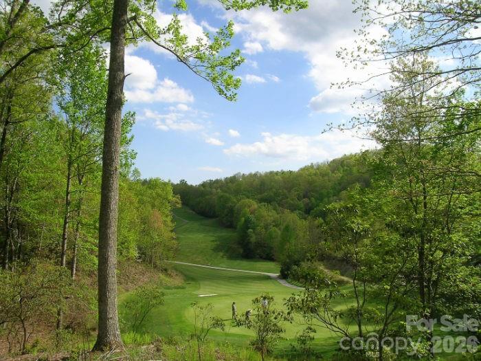 216 Tinequa Drive Brevard NC 28712