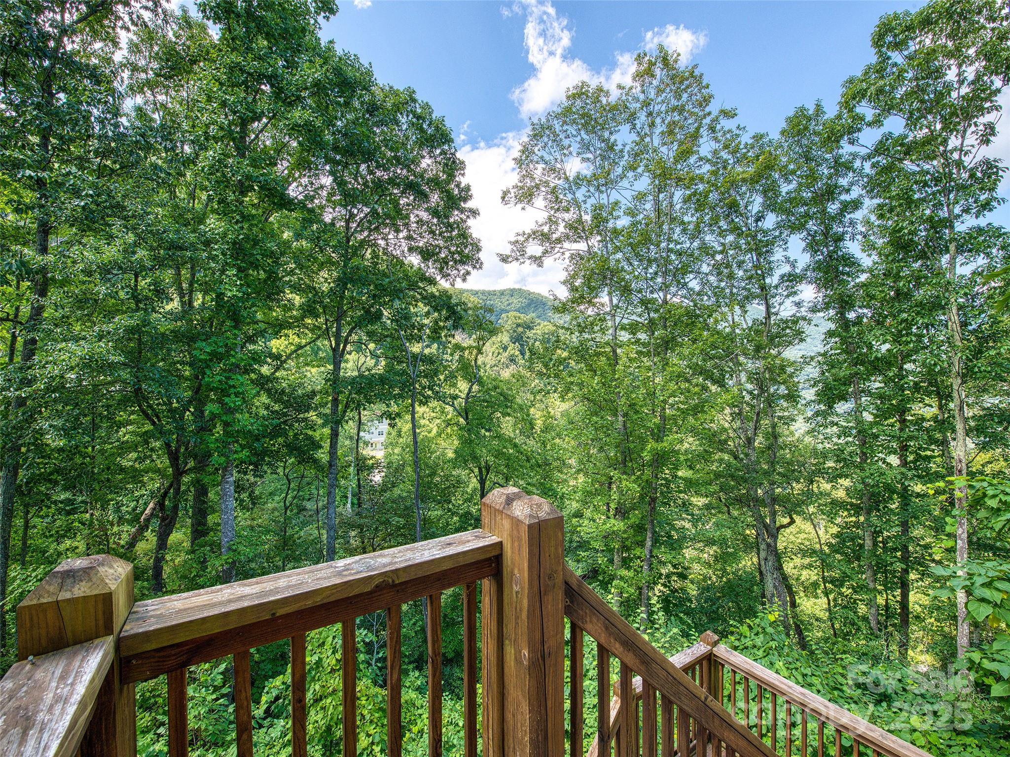 20A Lila Lane Clyde NC 28721