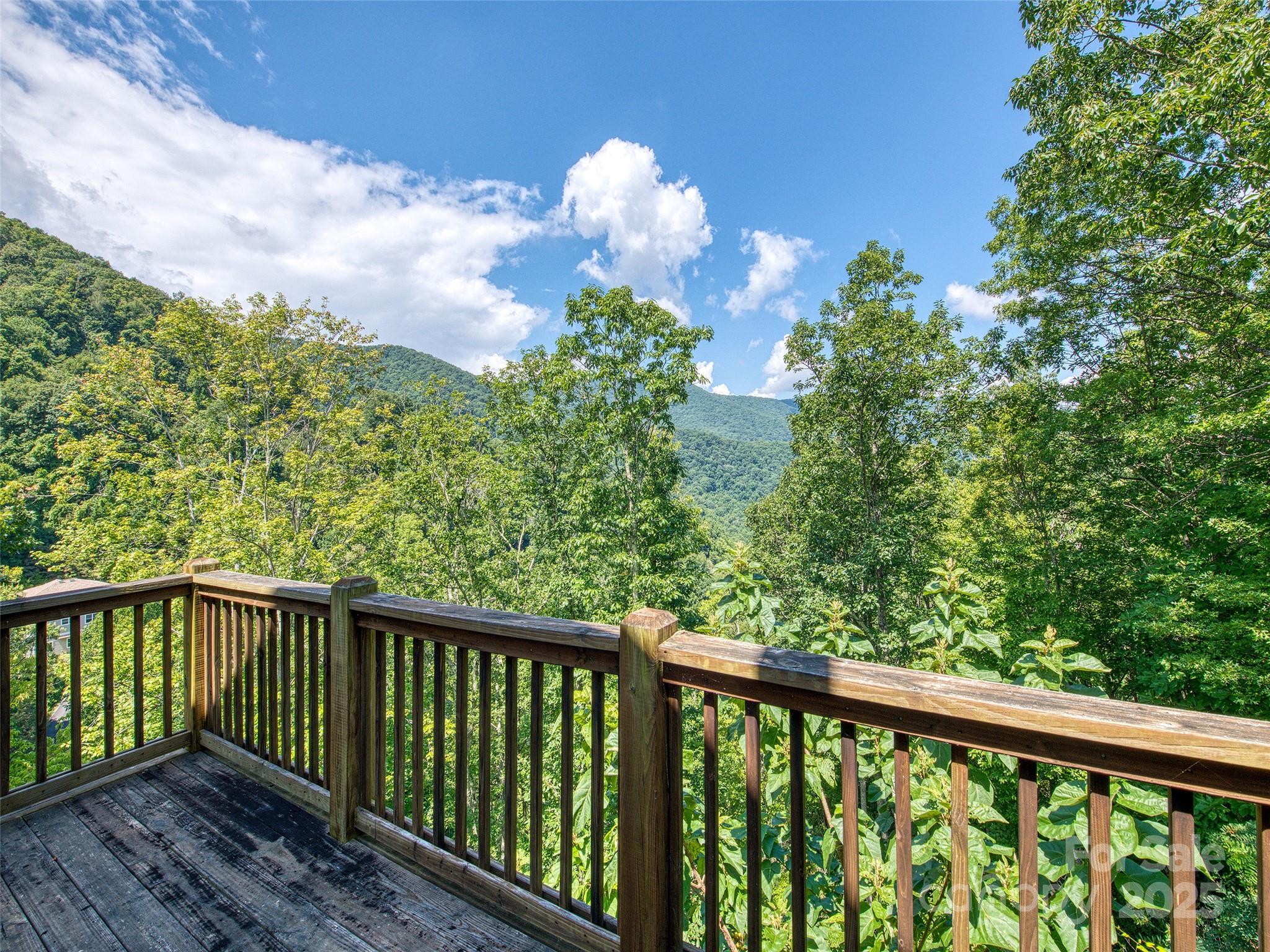 20A Lila Lane Clyde NC 28721