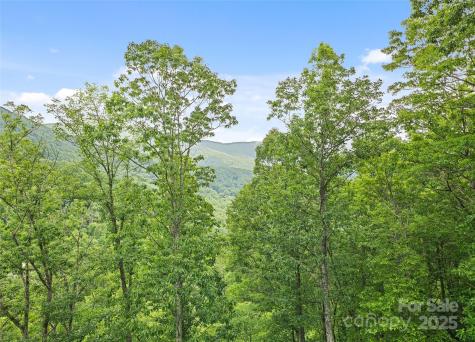 20A Lila Lane Clyde NC 28721