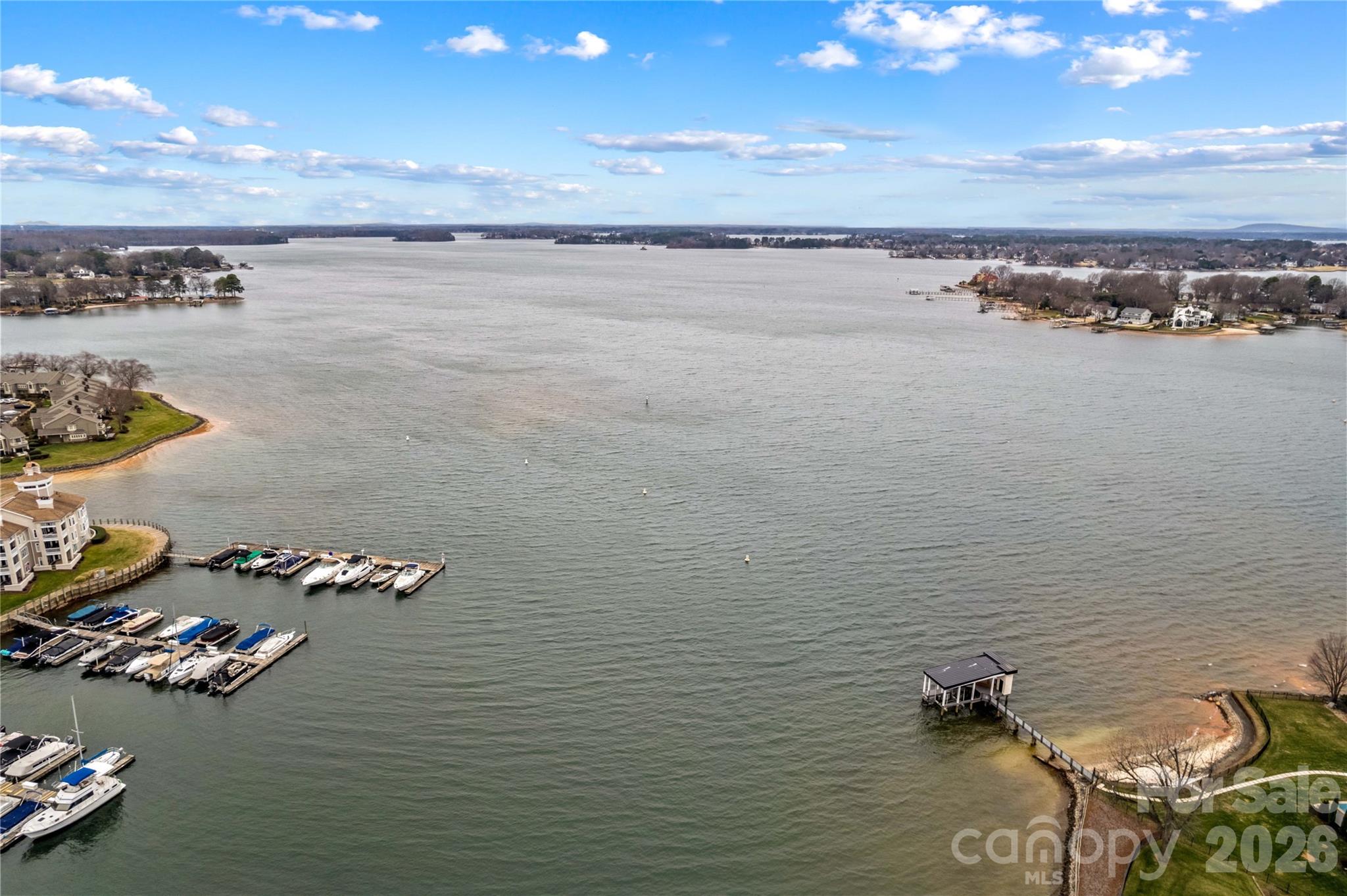 18789 Vineyard Point Lane Cornelius NC 28031
