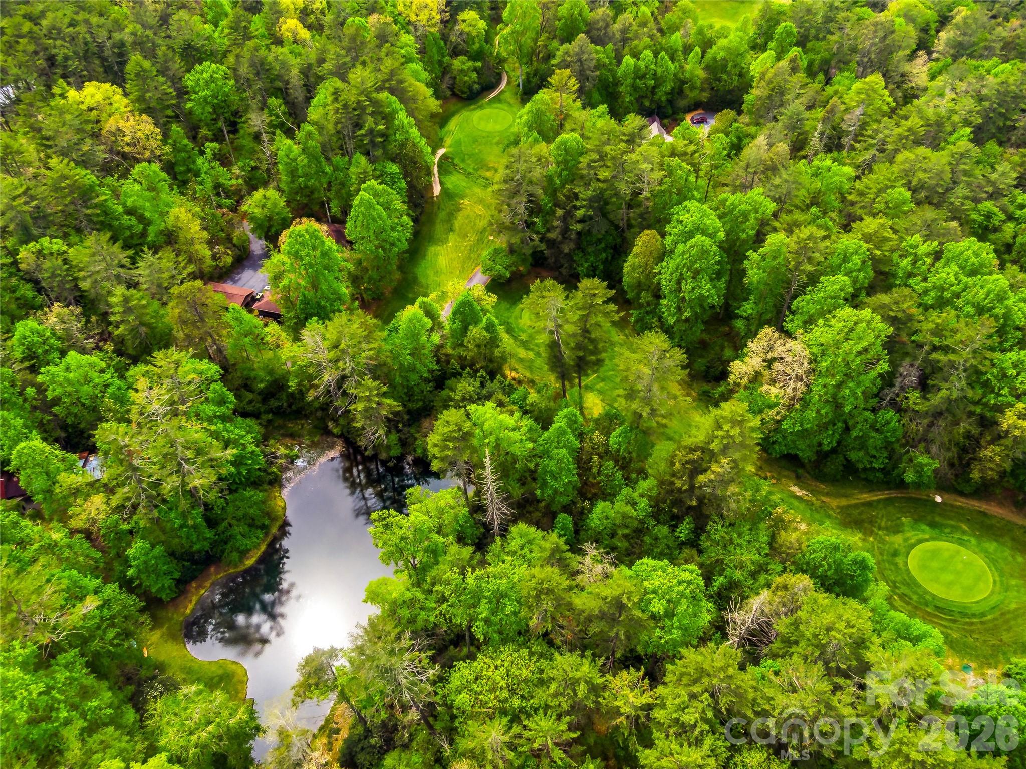 348 Surrey Lane Brevard NC 28712