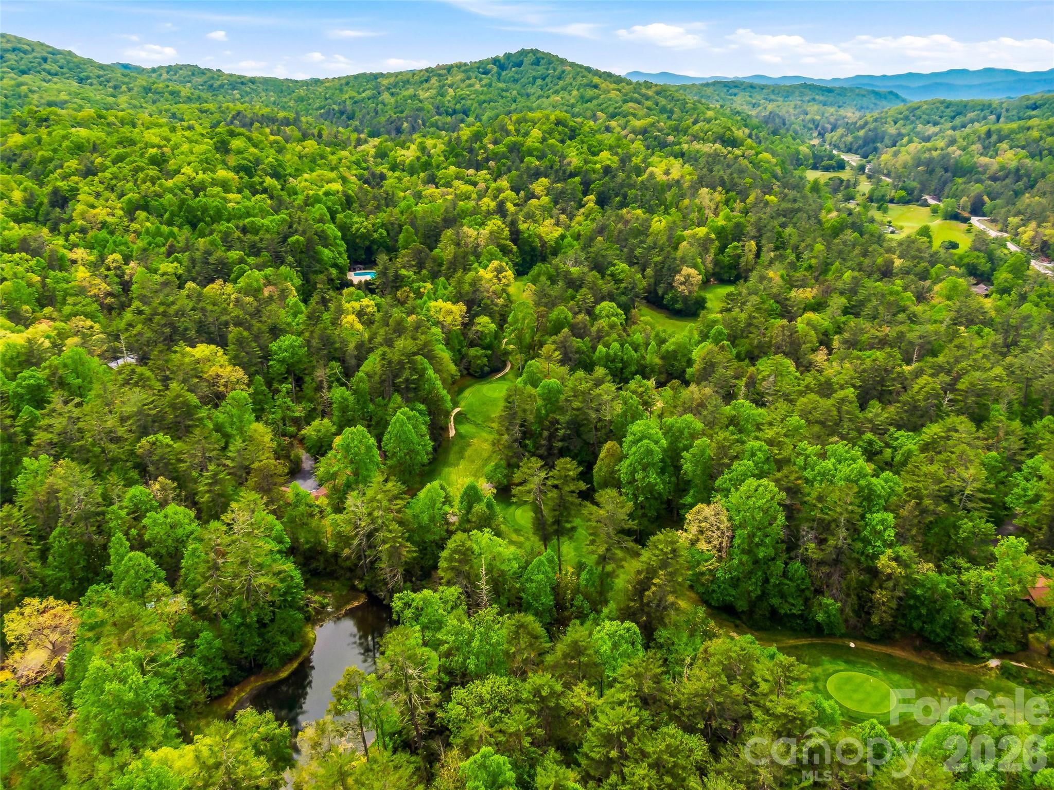 348 Surrey Lane Brevard NC 28712