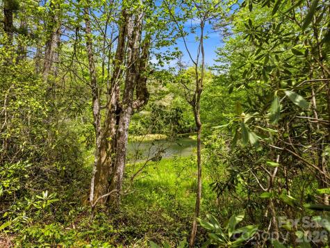 348 Surrey Lane Brevard NC 28712