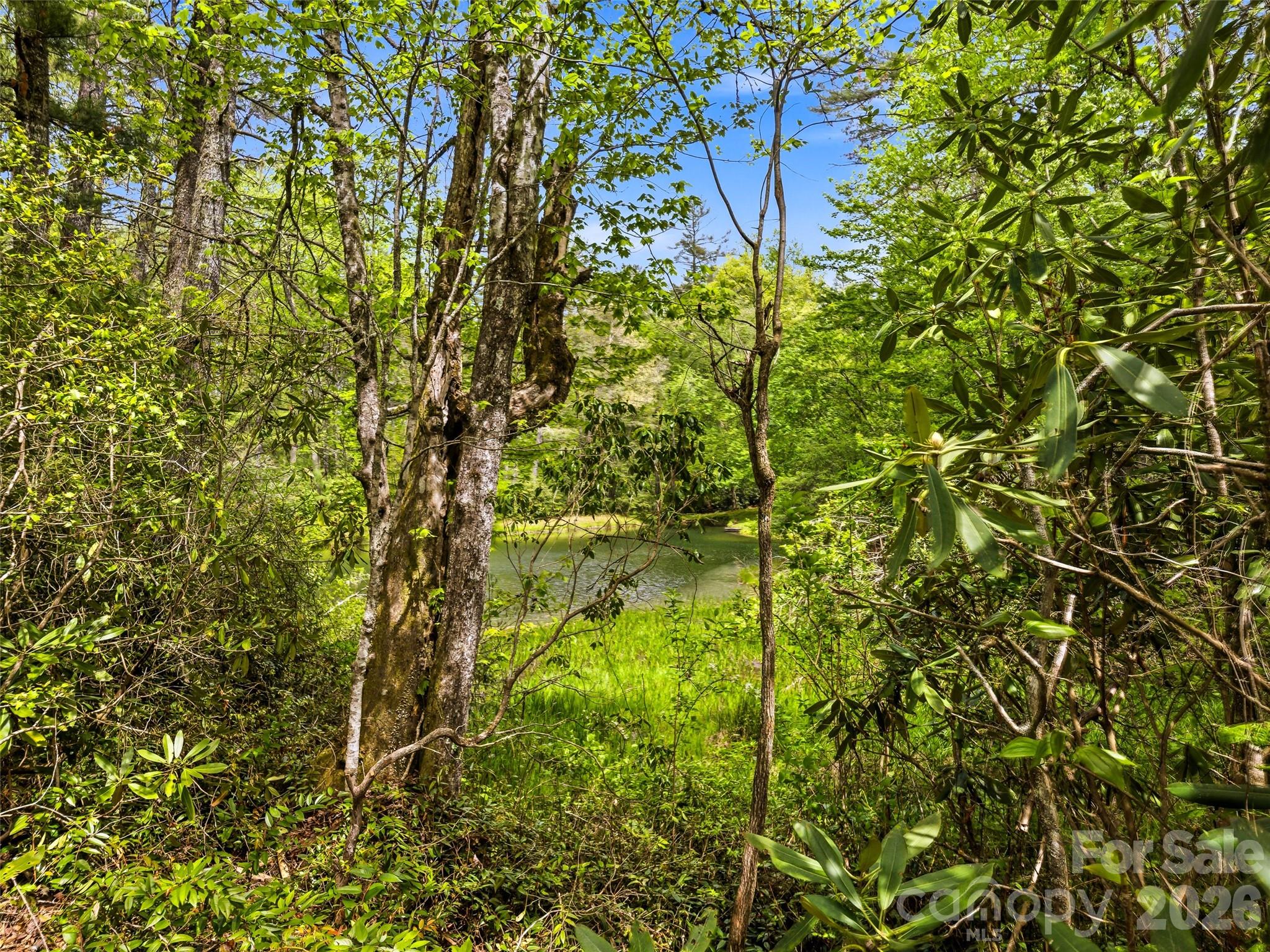 348 Surrey Lane Brevard NC 28712