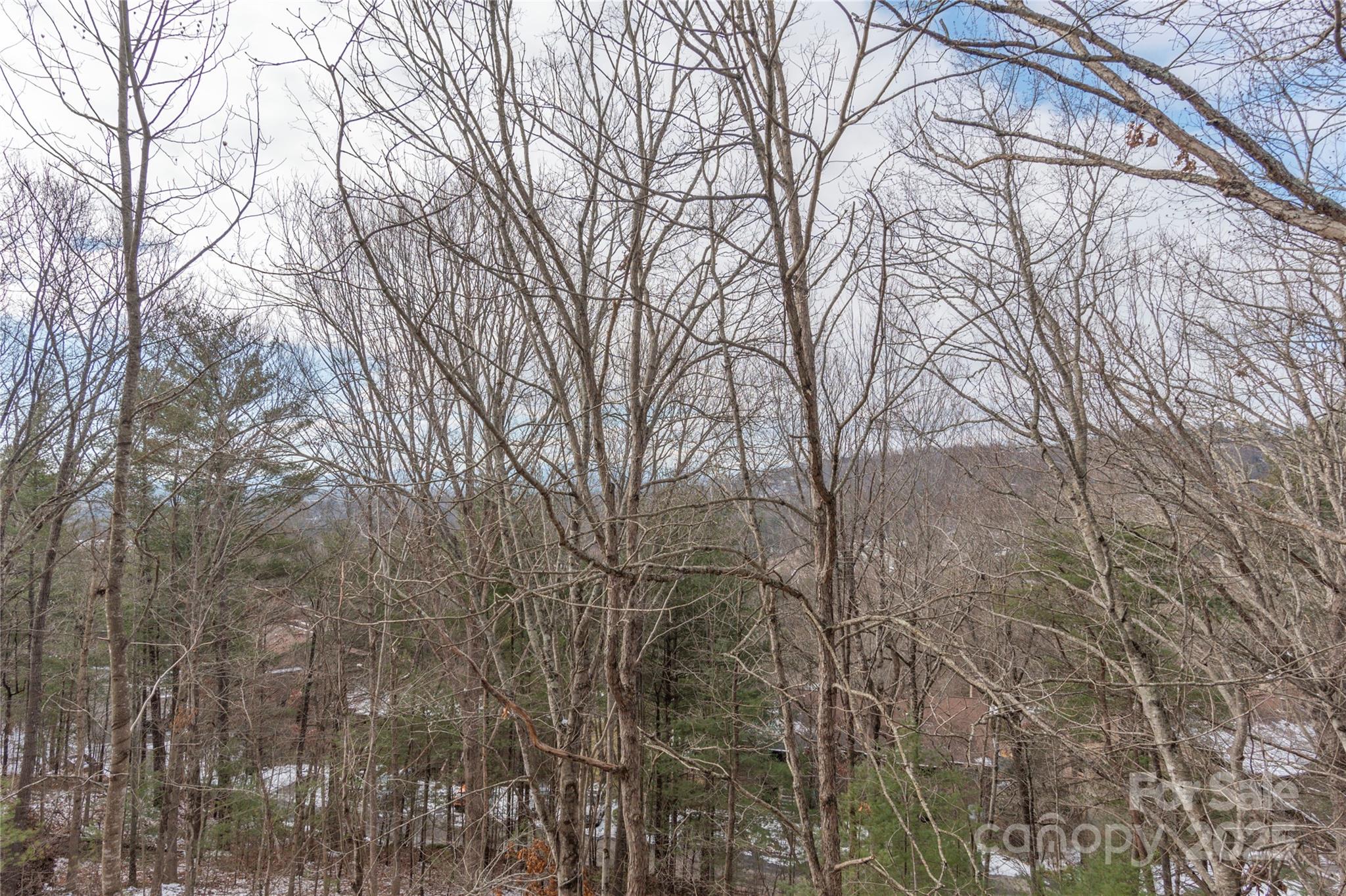 305 Piney Mountain Drive Asheville NC 28805