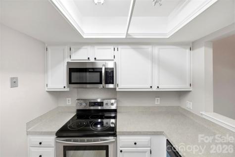 9320 South Vicksburg Park Court Charlotte NC 28210