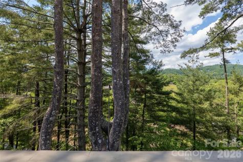 201 Timber Drive Asheville NC 28804