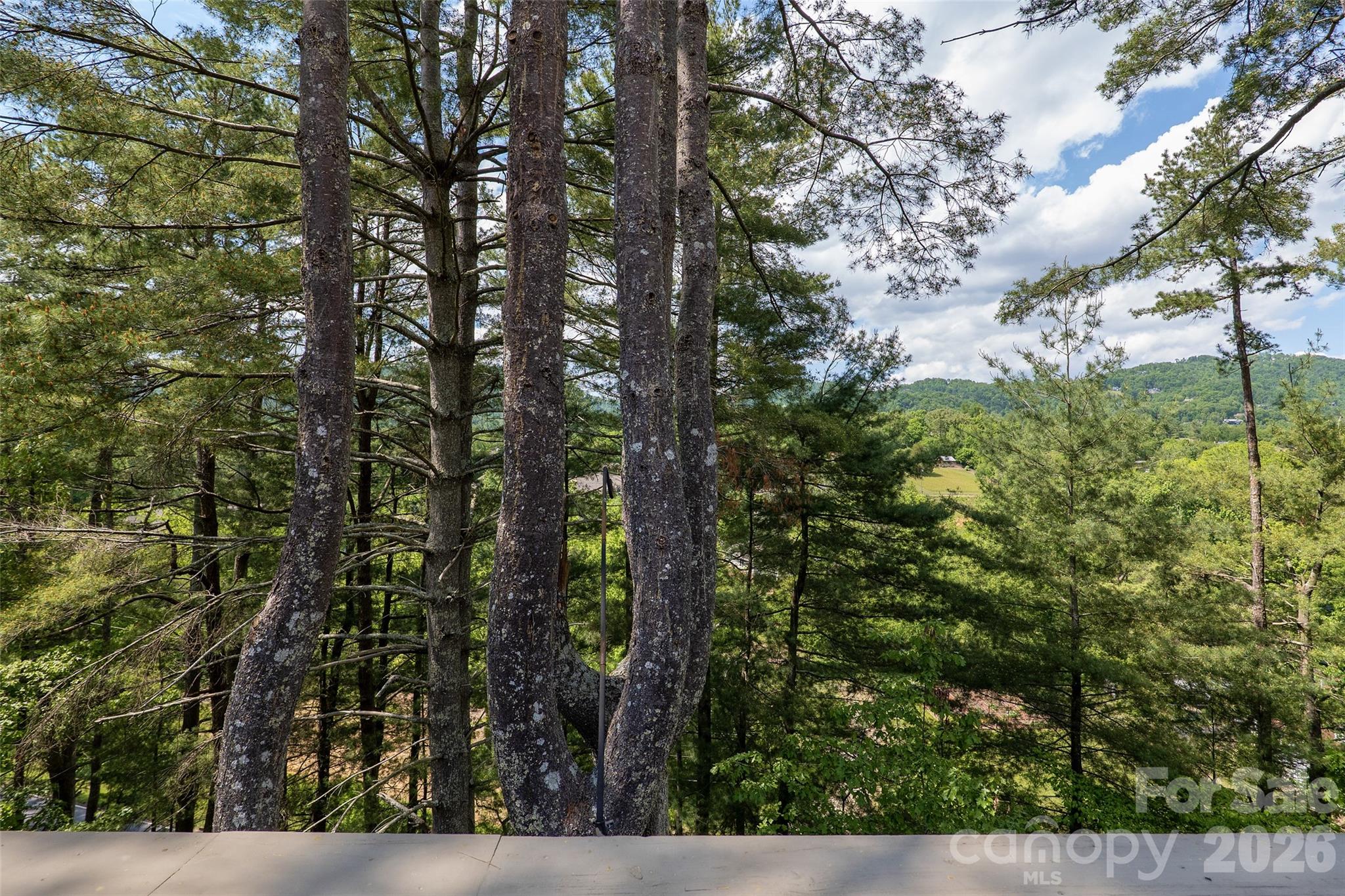 201 Timber Drive Asheville NC 28804