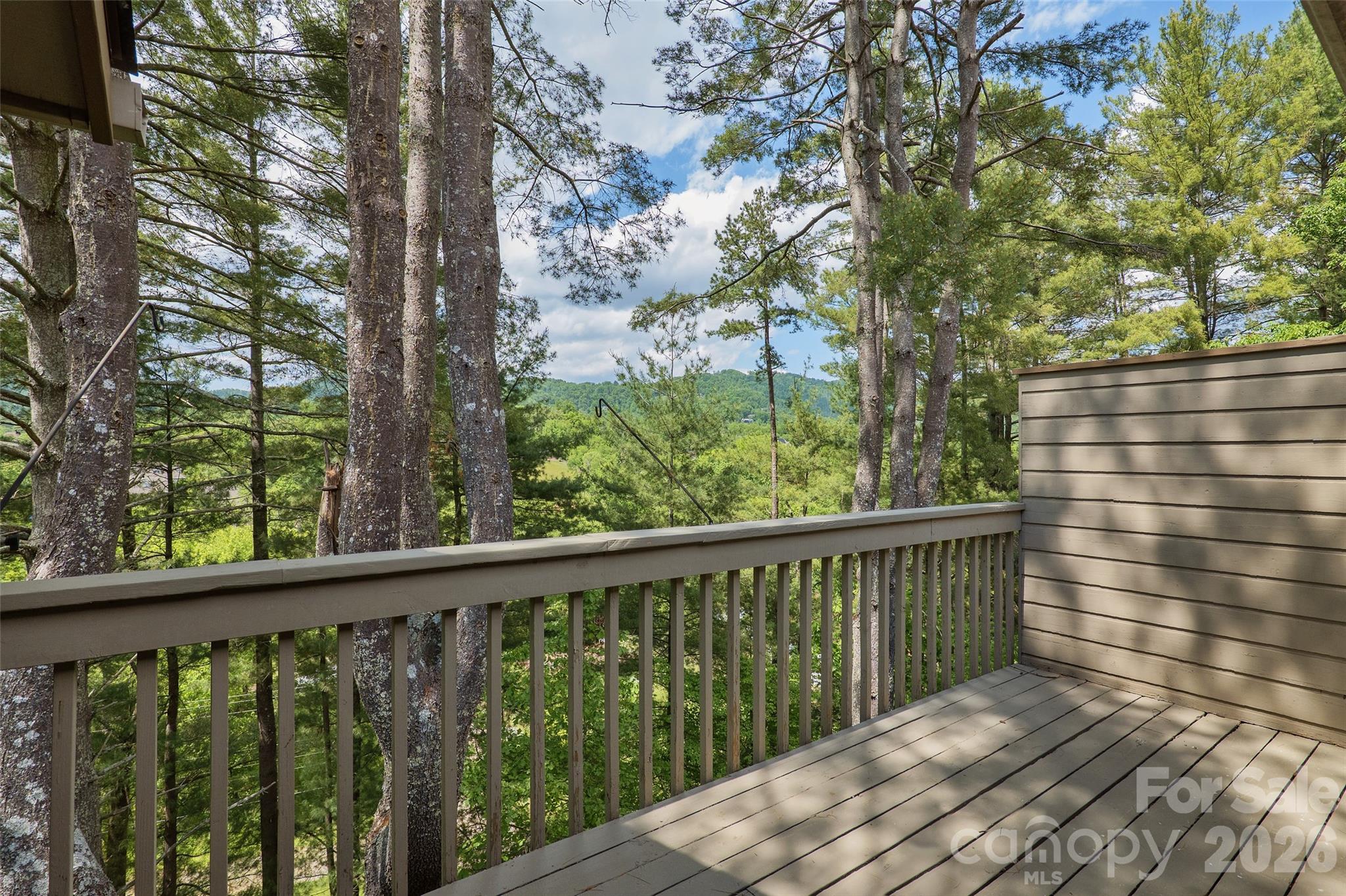 201 Timber Drive Asheville NC 28804