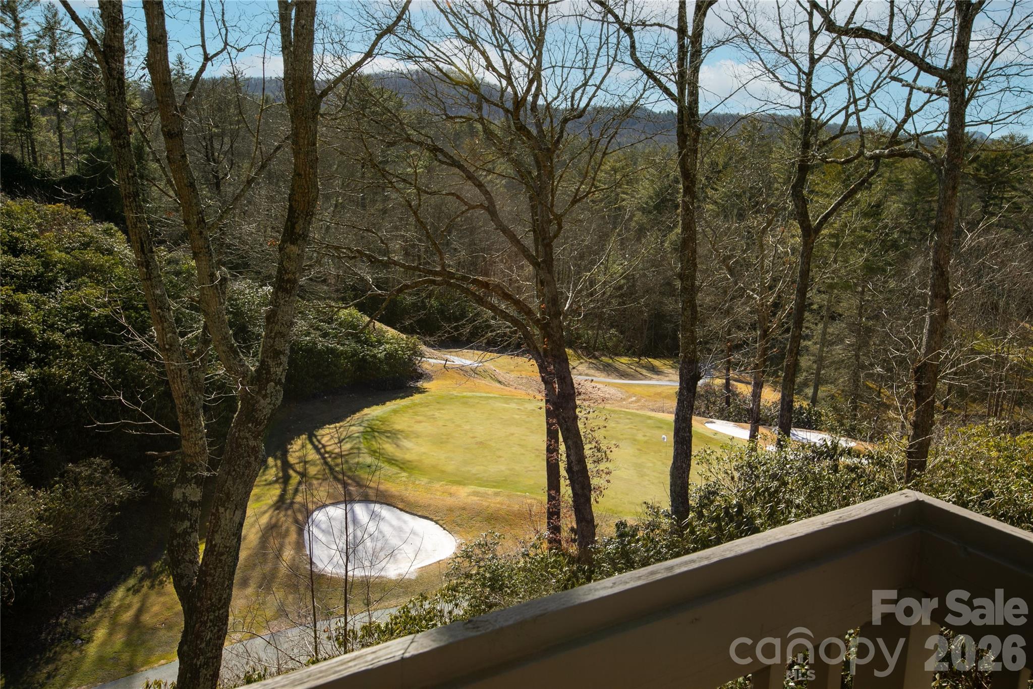 150 Racquet Club Villas Drive Sapphire NC 28774