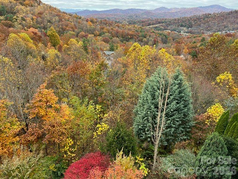 116 Dalya Road Swannanoa NC 28778