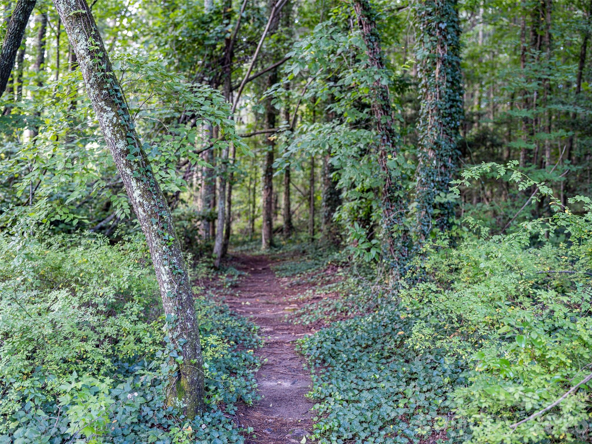 102 Boyd Drive Flat Rock NC 28731