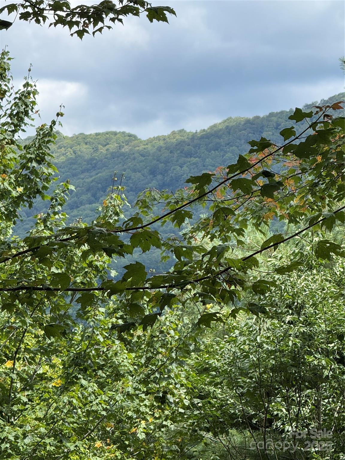 175 Ridgeview Road Sugar Mountain NC 28604