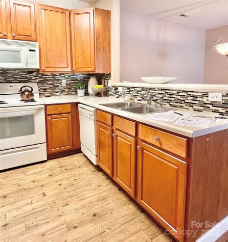 11264 Hyde Pointe Court Charlotte NC 28262