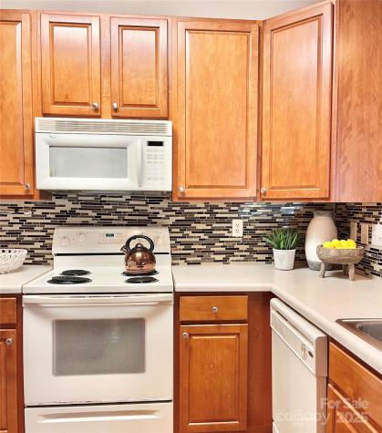 11264 Hyde Pointe Court Charlotte NC 28262