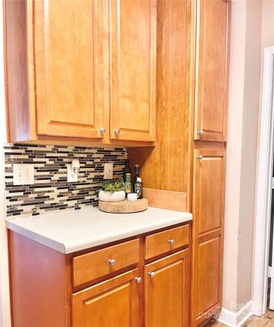 11264 Hyde Pointe Court Charlotte NC 28262