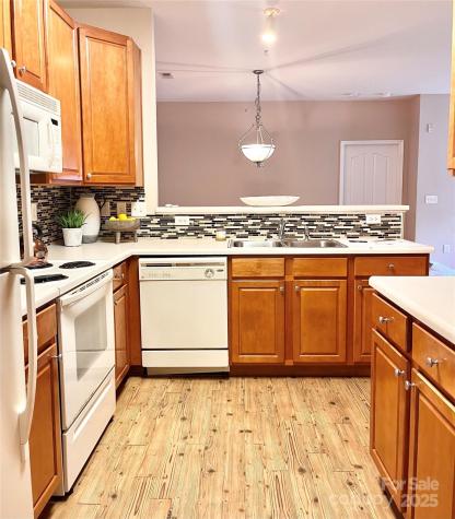 11264 Hyde Pointe Court Charlotte NC 28262