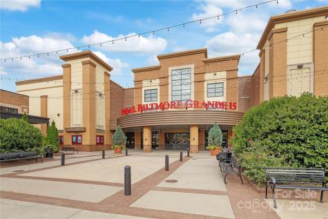 5 Farleigh Street Asheville NC 28803