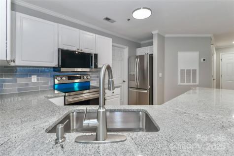 18563 Vineyard Point Lane Cornelius NC 28031